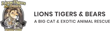 Lions tigers and bears