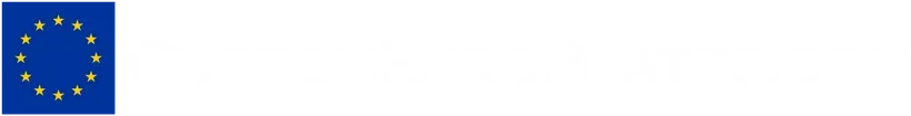 Custom euro plates