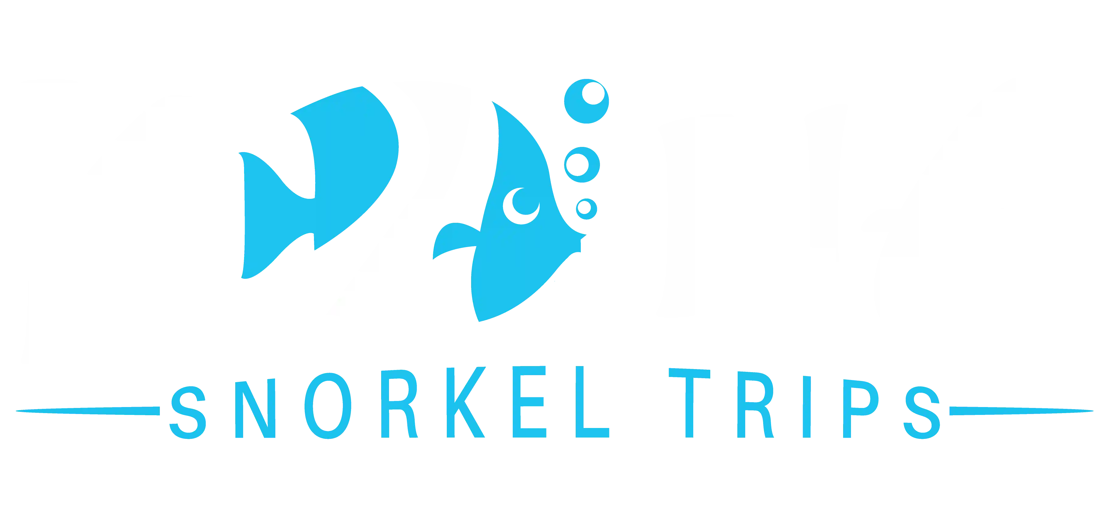 Kona snorkel trips